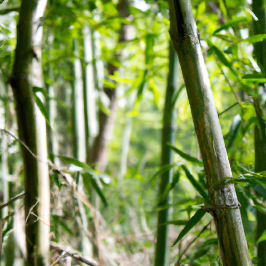 Sådan får du mest ud af din bambus tyngdedyne
